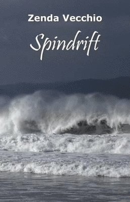 bokomslag Spindrift