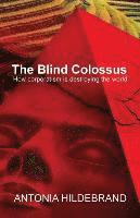 bokomslag Blind Colossus