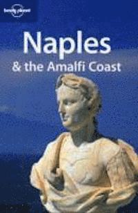 bokomslag Naples & the Amalfi Coast LP