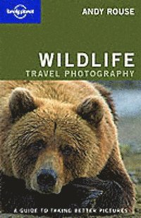 bokomslag Wildlife photography LP