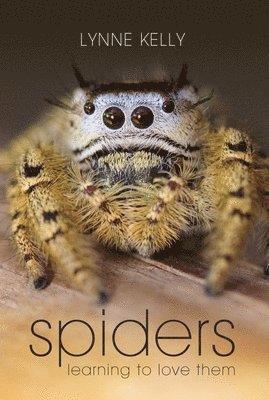 Lynne Kelly - Spiders: Learning to Love Them, Häftad