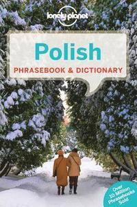 bokomslag Polish Phrasebook & Dictionary