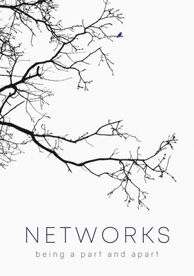 bokomslag Networks