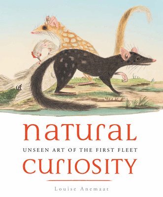 Natural Curiosity 1