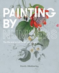 bokomslag Painting by Numbers