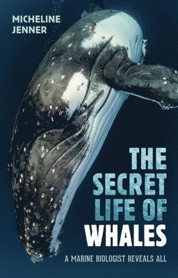 bokomslag The Secret Life of Whales