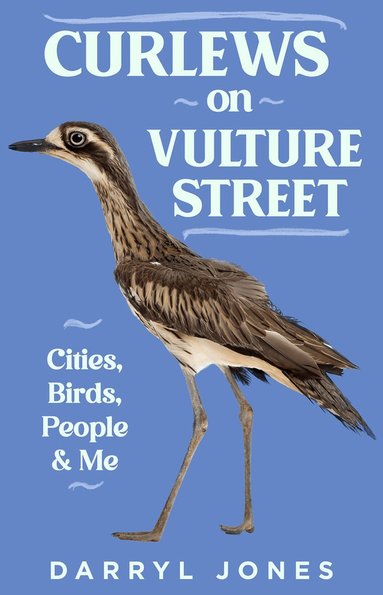 Darryl Jones - Curlews on Vulture Street, Häftad