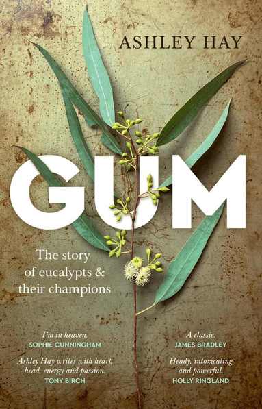 Ashley Hay - Gum, Häftad