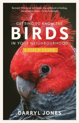 Getting to Know the Birds in Your Neighbourhood 1