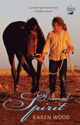 Karen Wood - Diamond Spirit: Volume 1, Häftad