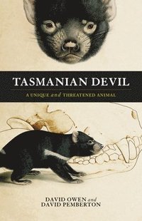 bokomslag Tasmanian Devil: A Unique and Threatened Animal