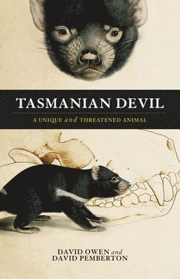 David Owen, David Pemberton - Tasmanian Devil: A Unique and Threatened Animal, Häftad