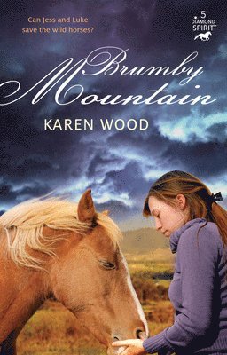 Karen Wood - Brumby Mountain: Volume 5, Häftad