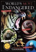 Worlds Most Endangered 1