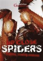 bokomslag Australian Geographic Up Close: Spiders