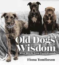 bokomslag OLD DOGS' WISDOM