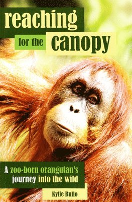 bokomslag Reaching for the Canopy: A Zoo-Born Orangutan's Journey Into the Wild
