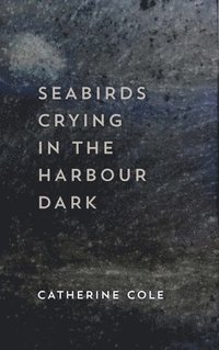 bokomslag Seabirds Crying in the Harbour Dark