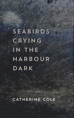 Seabirds Crying In The Harbour Dark 1