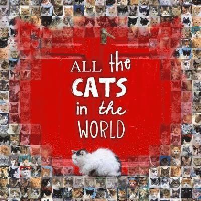 All the Cats in the World 1