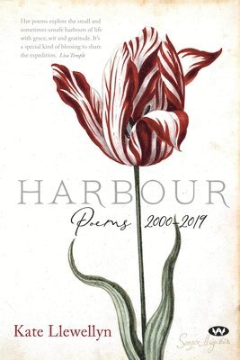bokomslag Harbour: Poems 2000-2019