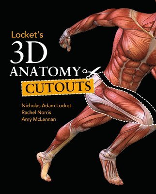 bokomslag Locket's 3D Anatomy Cutouts