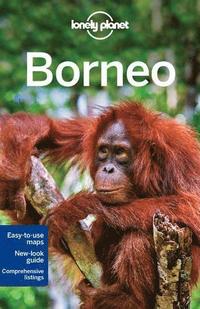 bokomslag Borneo