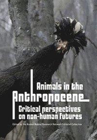 bokomslag Animals in the Anthropocene