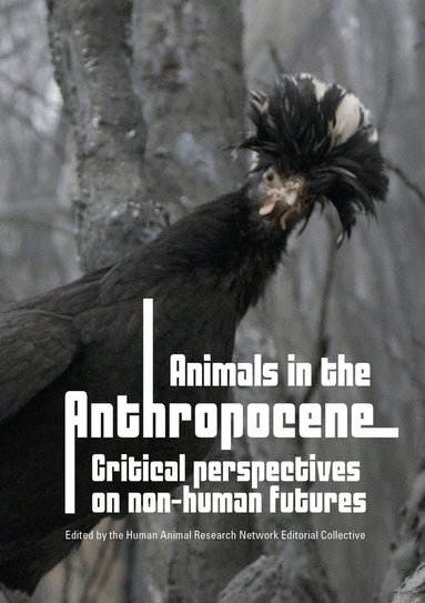 Fiona Probyn-Rapsey - Animals in the Anthropocene, Häftad