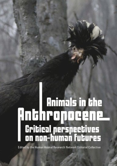 bokomslag Animals in the Anthropocene