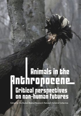 Fiona Probyn-Rapsey, Harn Editorial Collective, HARN Editorial Collective - Animals in the Anthropocene, Häftad