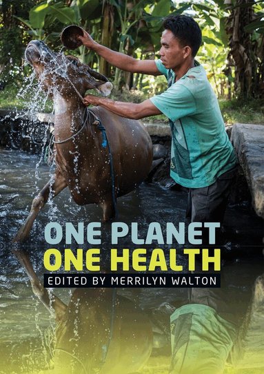 Merrilyn Walton - One Planet, One Health, Häftad