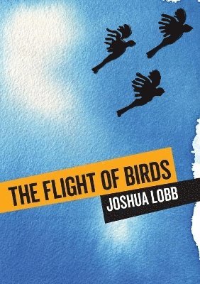 bokomslag Flight of Birds