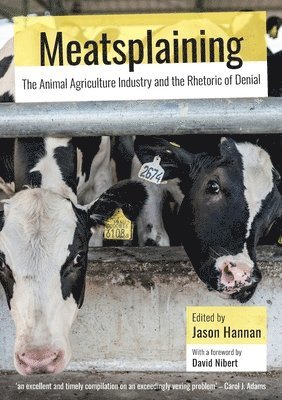 Meatsplaining