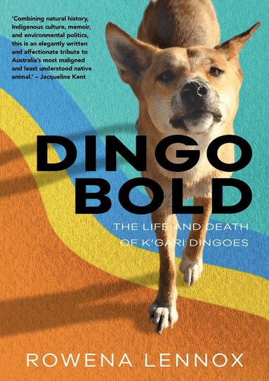 Rowena Lennox - Dingo Bold, Häftad