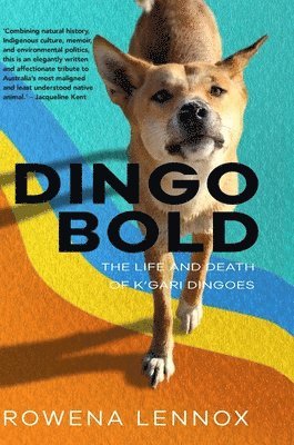 bokomslag Dingo Bold: The Life and Death of K'gari Dingoes