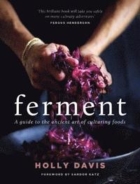 bokomslag Ferment - a practical guide to the ancient art of making cultured foods