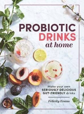 Probiotic Drinks at Home 1