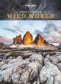 bokomslag Lonely Planet's Wild World
