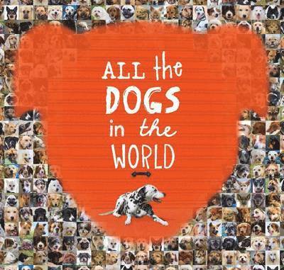 All the Dogs in the World 1