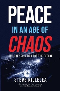 bokomslag Peace in the Age of Chaos