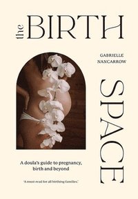 bokomslag The Birth Space