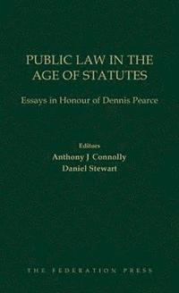 bokomslag Public Law in the Age of Statutes