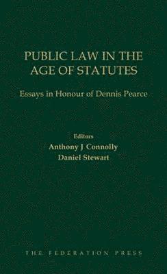 bokomslag Public Law in the Age of Statutes