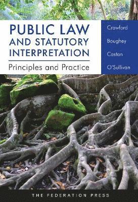 Lisa Burton Crawford, Janina Boughey, Melissa Castan, Maria O' Sullivan - Public Law and Statutory Interpretation, Häftad