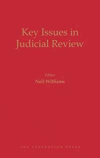 bokomslag Key Issues in Public Law