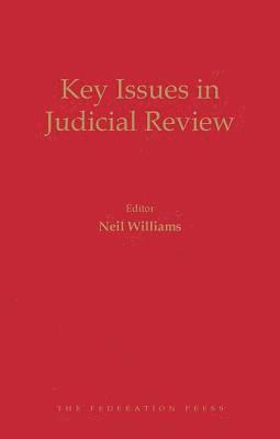 bokomslag Key Issues in Public Law