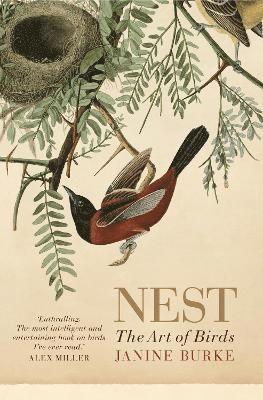 Nest 1