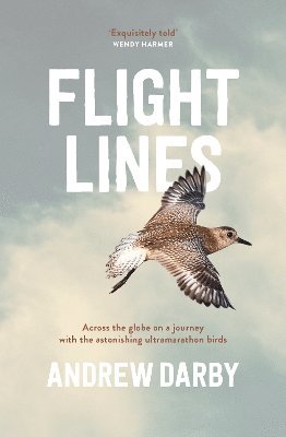 Andrew Darby - Flight Lines, Häftad