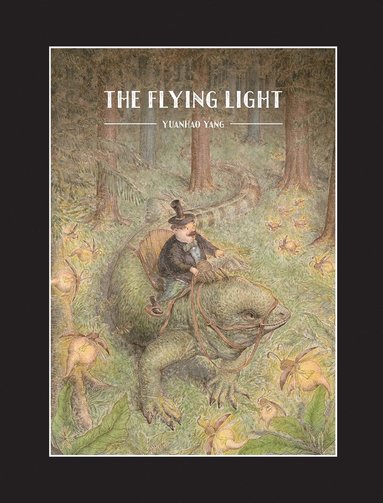 bokomslag Flying Light